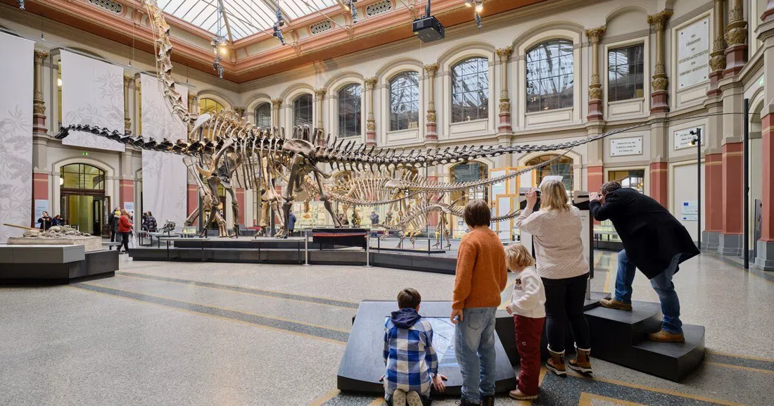 Museum für Naturkunde, Berlino