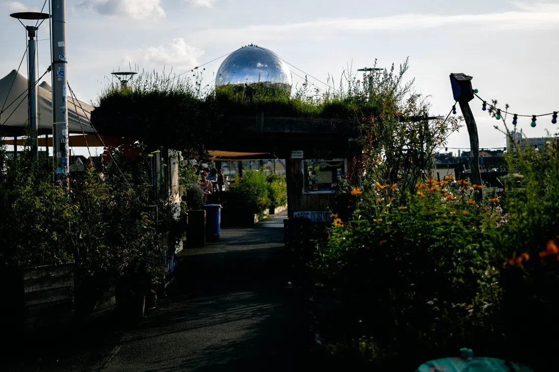 Klunkerkranich, Berlin