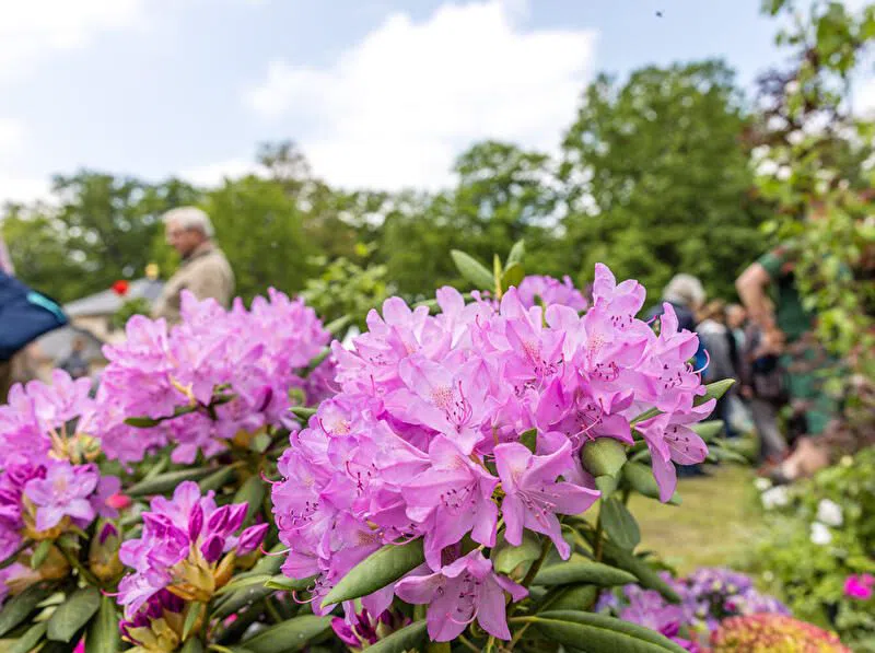 Botanischer Volkspark Blankenfelde-Pankow, Berlin