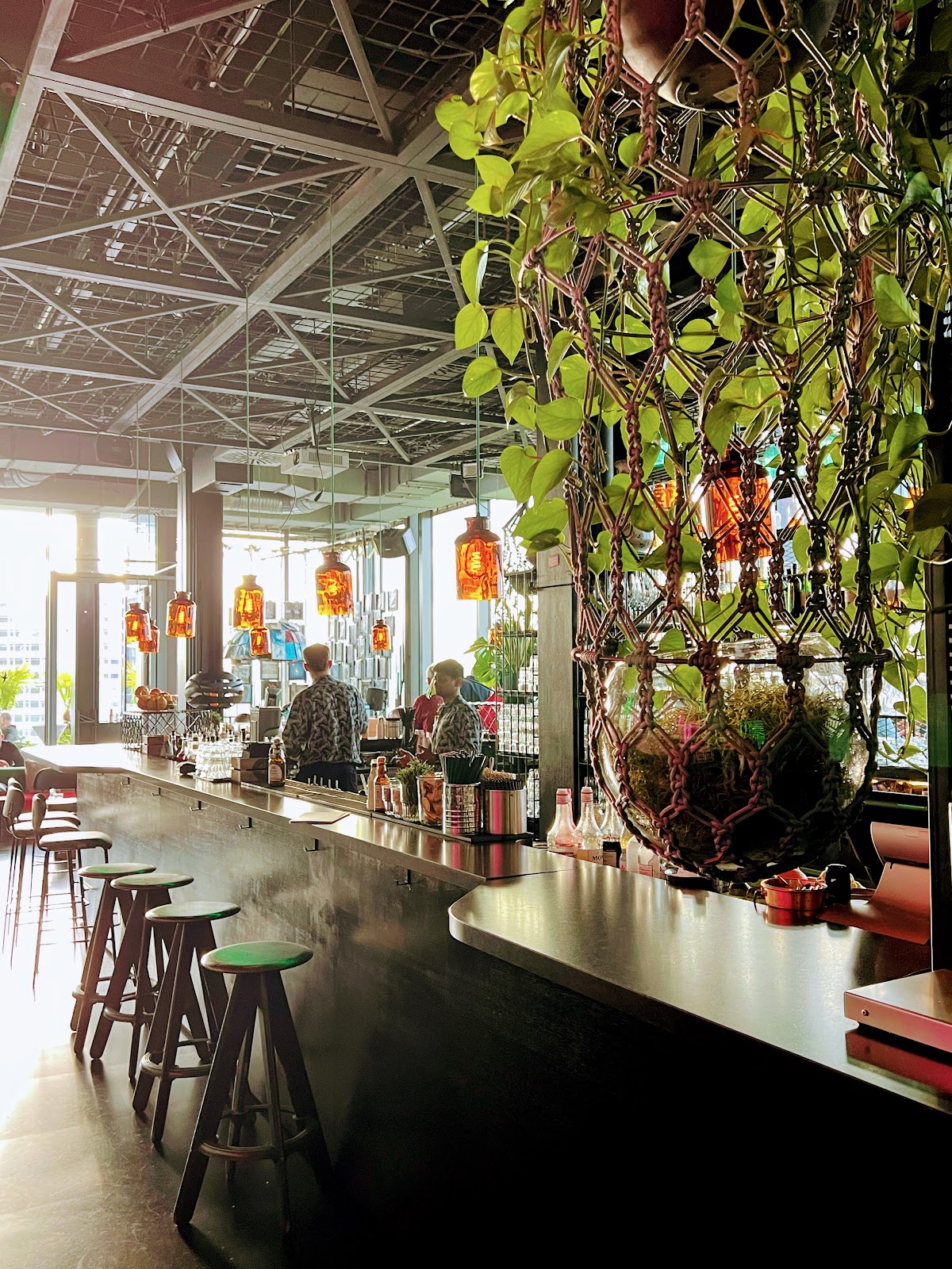 Monkey Bar — photo 3