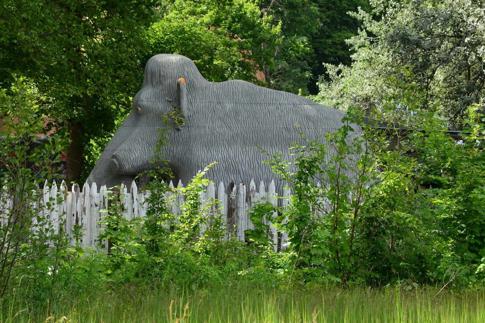 Plänterwald, Berlino