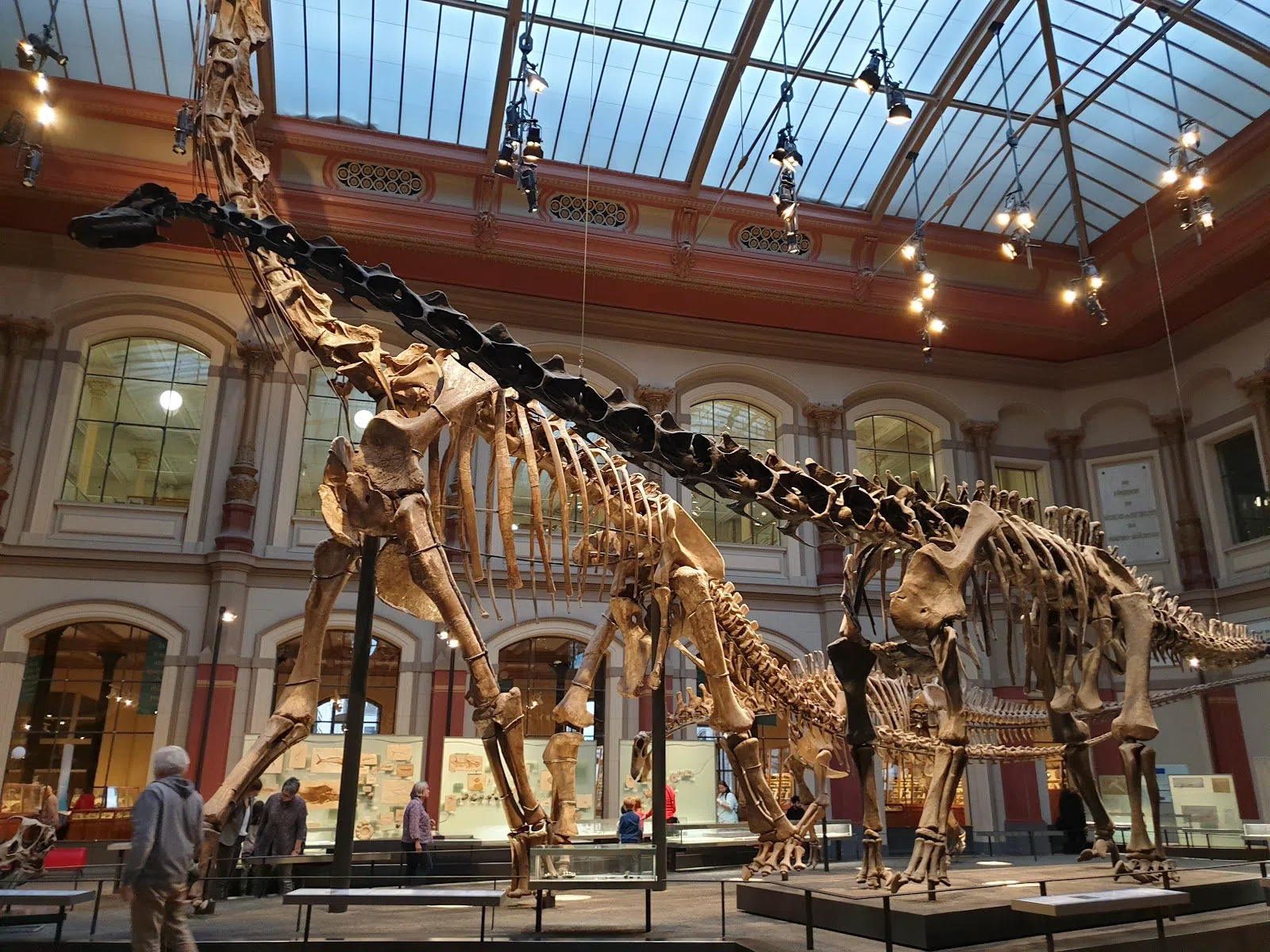 Museum für Naturkunde Berlin, Berlin